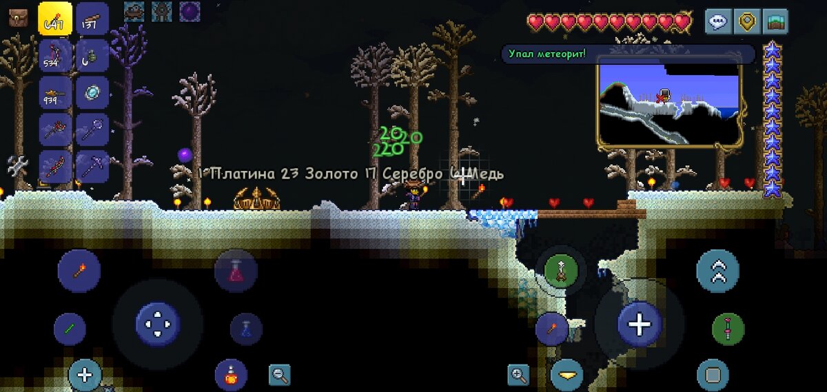 Тест по игре Terraria