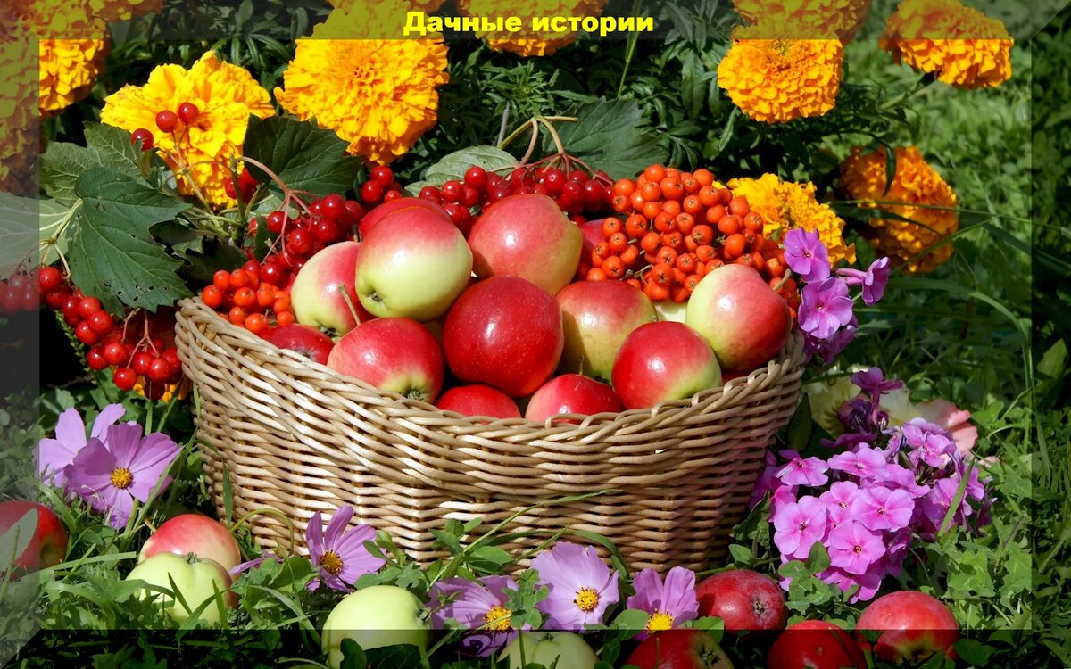 https://vk.com/photo-159774511_457255512