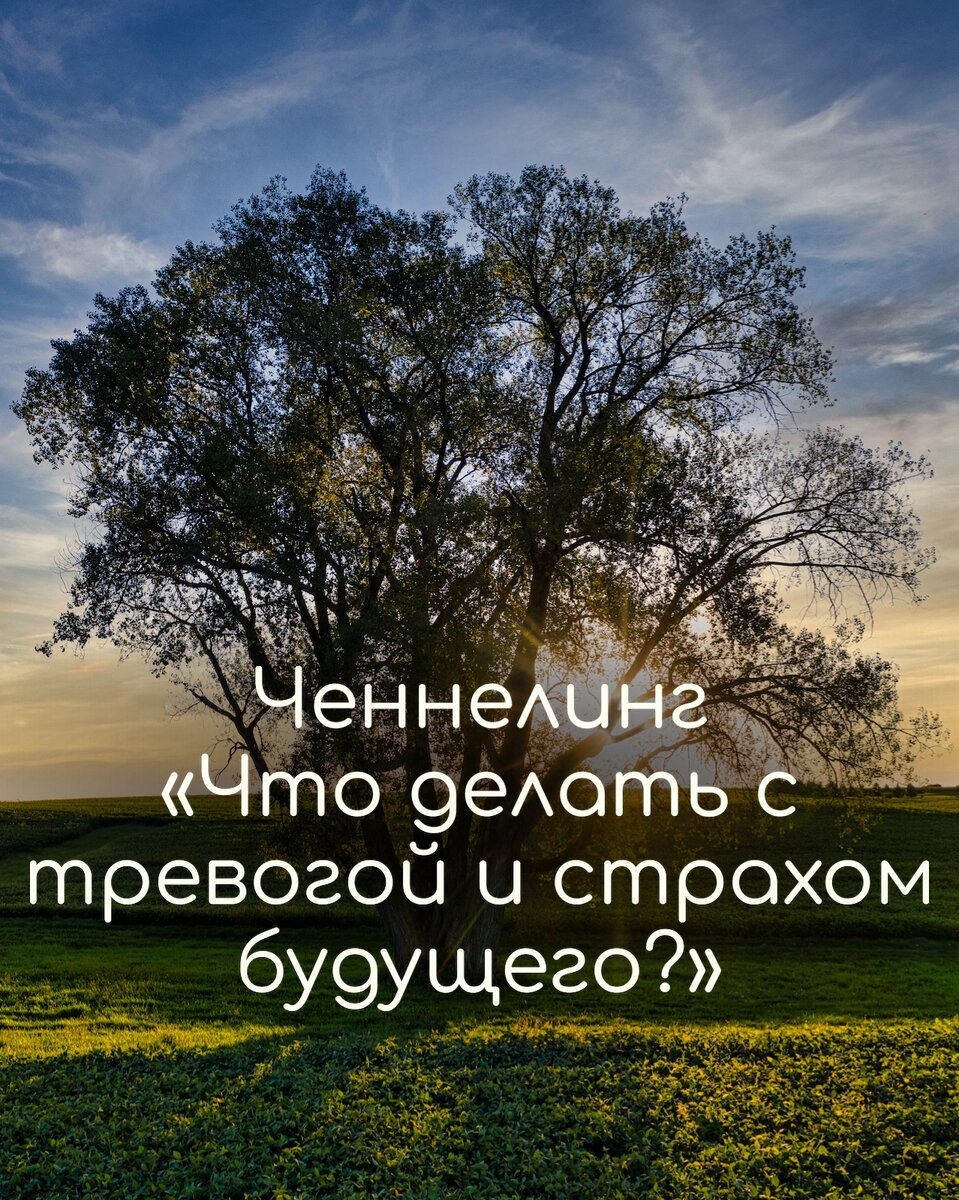 #контактер 
