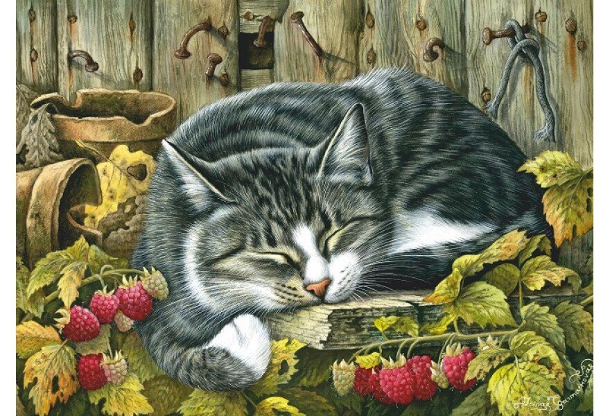 ������� ������