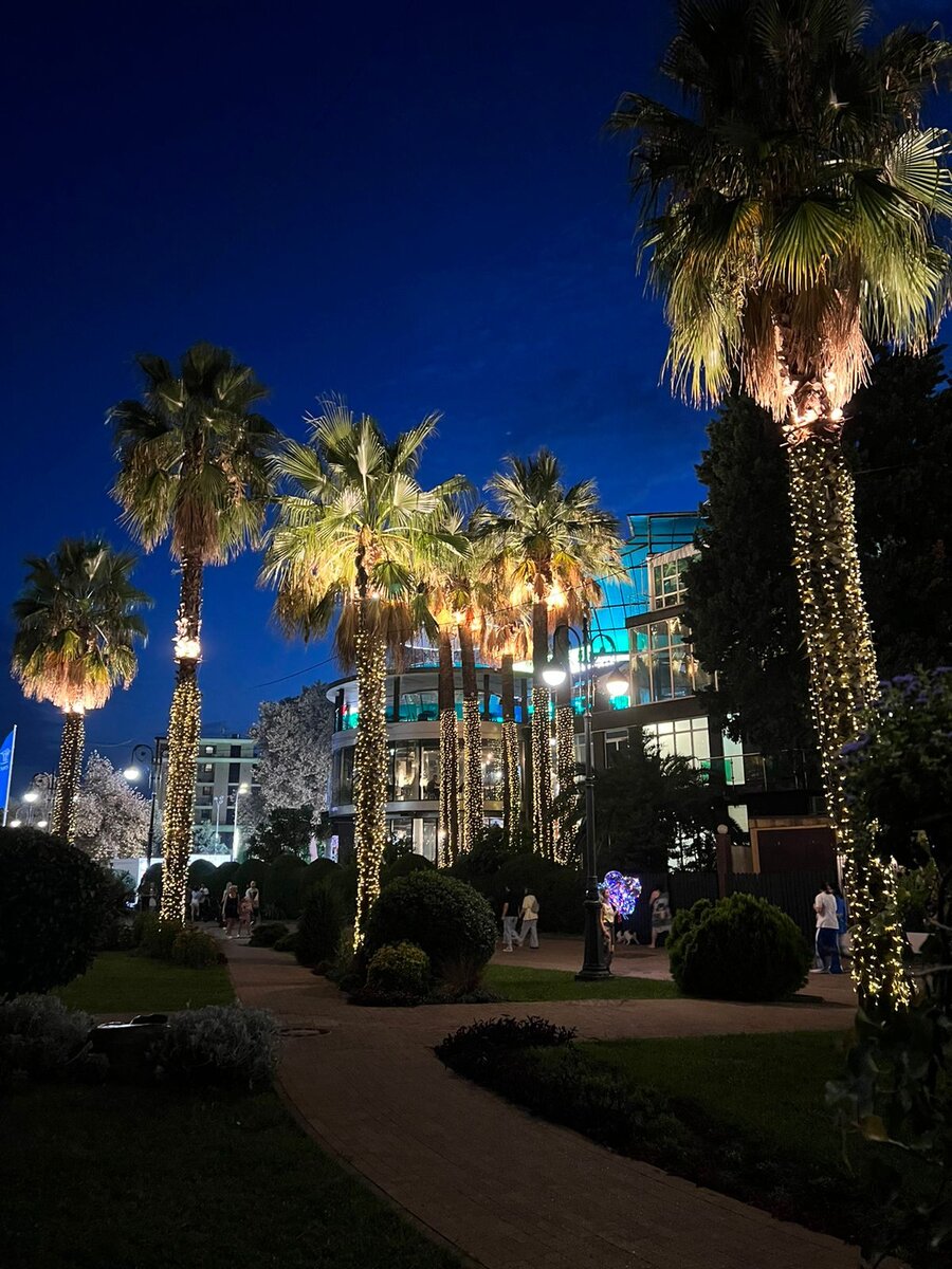 Как прекрасны южные пейзажи, особенно для нас, сибиряков 