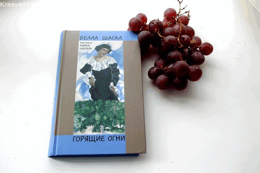 Книга Беллы Шагал "Горящие огни"