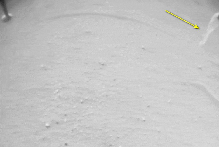 Изображение с камеры Ingenuity