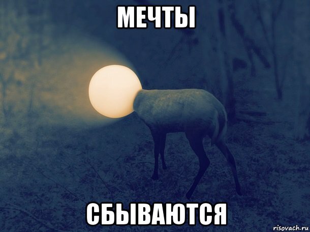 Картинка мем ну что мечта сбылась Руководство по привлечению идей и мечт в голову Жи есть Дзен