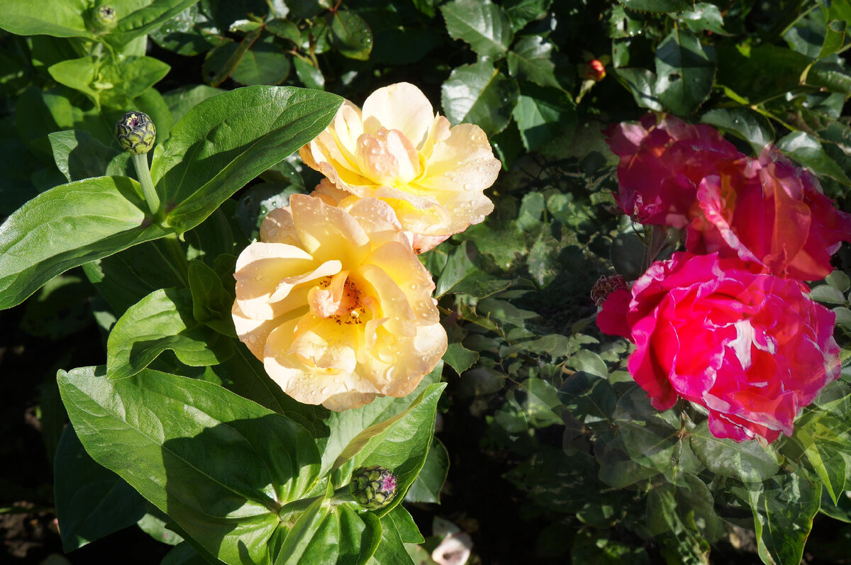 всем всего хорошего 