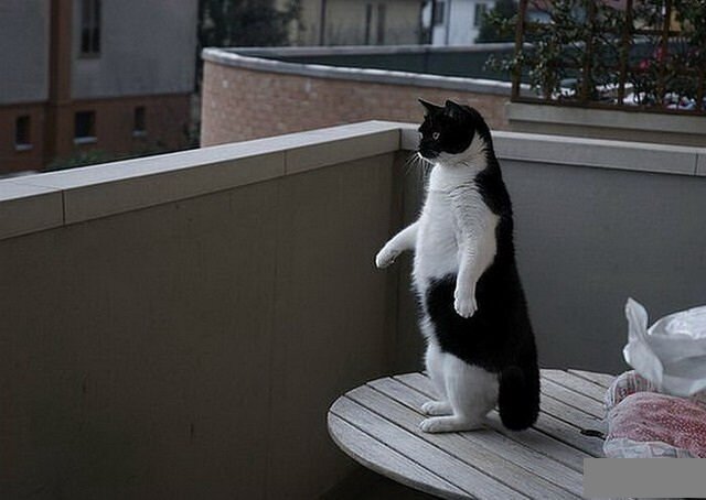 Посмеялся сам - поделись с другом!!!