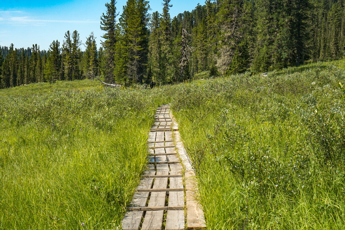 Оборудованная тропа неподалёку от входа в Парк