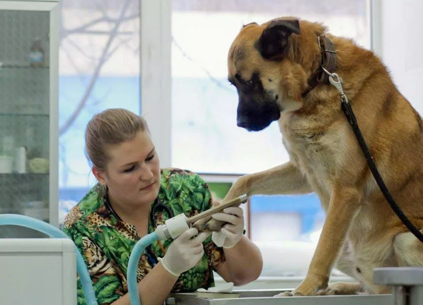 Фотография взята из источника wi-fi.ru