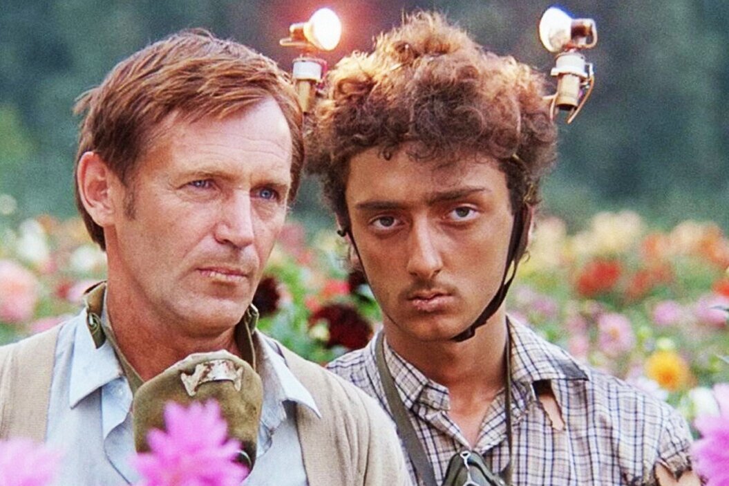     Кем бы вы были на планете Плюк: тест по цветовой дифференциации штанов