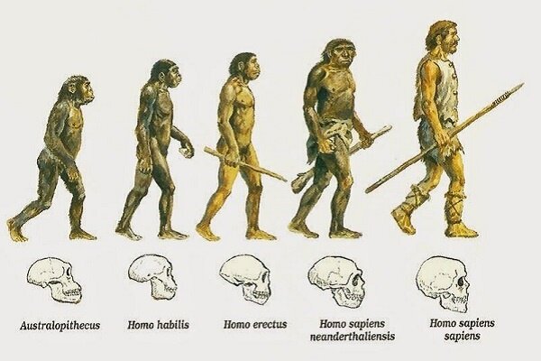 Homo Sapiens