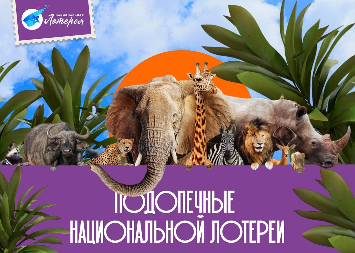 Мы помогаем животным Московского и Ленинградского зоопарков!