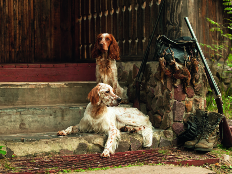     Фото: shutterstock