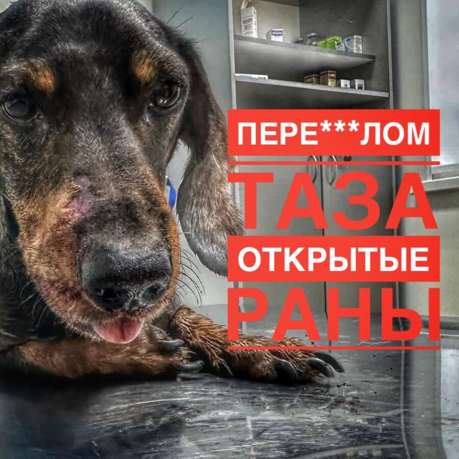 Малышу необходима ЭКСТРЕННО помощь