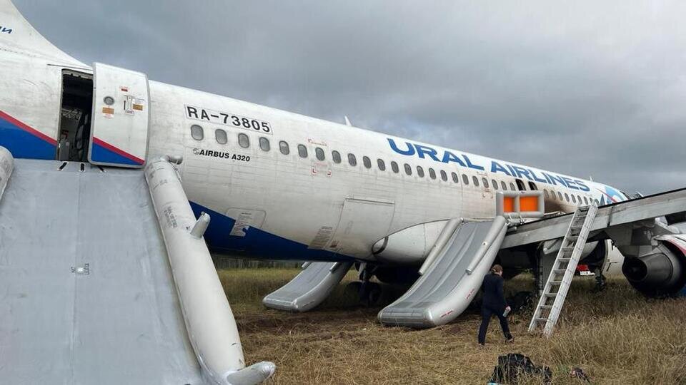 Фото: © Пресс-служба авиакомпании «Уральские авиалинии»