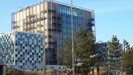    Пашинян объяснил намерение Армении ратифицировать Римский статут МУС Юлия Шелковенко