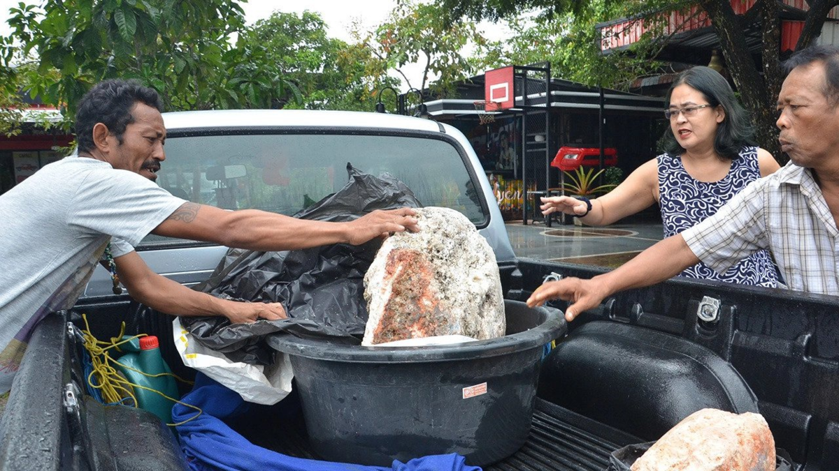 Потенциальные миллионеры и их добыча