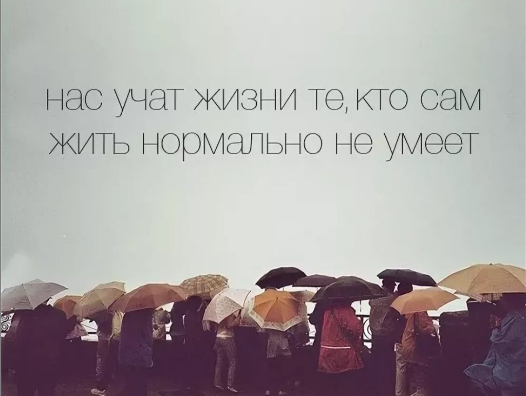 Напрашивается именно такой вывод