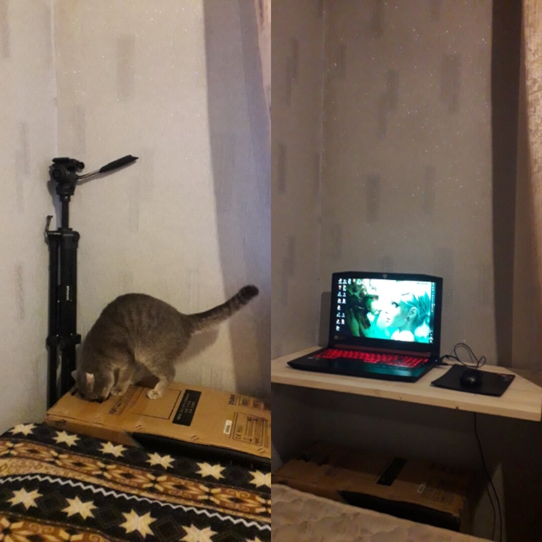 К сожалению, в архивах осталось только такое фото :)