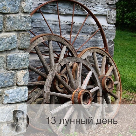 Подписывайтесь на наш канал, друзья!
13-ый лунный день с 16:19 23-ого по 17:53 24-ого. 🔆 Время прозрения и озарения.
🎡 Символ дня – колесо.
🎂 Люди, рождённые в этот лунный день, являются проводниками. Они могут выходить на контакт с иными мирами. В этот день рождаются идеальные ученики. Они легко овладевают информации с удовольствием обучаются. Если человек этого дня не развивается и не используют заложены в нём потенциал, то он очень суетлив: крутится в водовороте дел, как белка в колесе, не умея вырваться и на принадлежа себе.
💍 Камень – опал.
🌞 День, способствующий омоложению организма, поэтому полезны всевозможные косметические и СПА-процедуры по уходу за собой. Сегодня хорошо накапливать знания,  усваивать информацию, читать книги, способствующие саморазвитию. Также в этот день могу проявиться старые проблемы, поскольку данные лунные сутки связаны с реинкарнацией, отнеситесь к этому спокойно, справившись с трудностями, вы обретёте энергию для новой жизни. Не стоит начинать новое, но полезно завершать старые дела.
✅ Рекомендуемые практики: канальное очищения, кармическая медитация.
В 13-й день необходимо заниматься дыхательными практиками и очищением менталитета.
В результате можно получить озарение, то есть ответ на какой-то мучительный вопрос и решение наболевшей проблемы. Этот день также связан с кармой, рекомендуется подумать о ней, о том, что делаем на данном этапе жизни и что делали в прошлом.
❌Запрещено: голодание, агрессия.
Нельзя голодать и поститься, проявлять агрессию.
⭕️Уязвимые органы: поджелудочная железа.
⚠️ Знак:
Судорога рука означает, что в этот день вы что-то делаете неправильно.
💤Сны сегодняшних лунных суток непросты, они могут показать трудности, с которыми вам необходимо справиться.

—————
📖 Посмотреть отзывы 👉 numeromagic.ru/reviews
🧞‍♂Помощник по услугам 👉 numeromagic.ru/uslugi