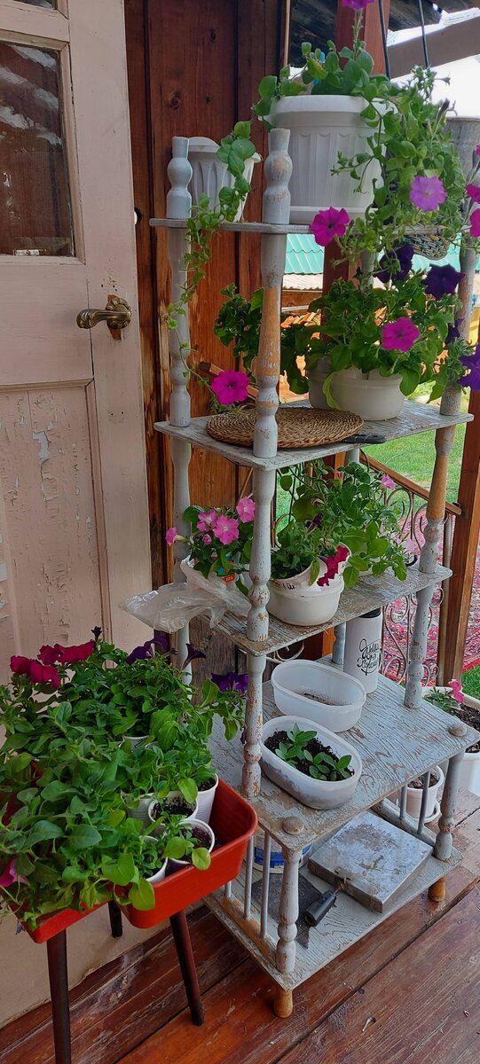 Они тут еще ждут своего места под солнцем)