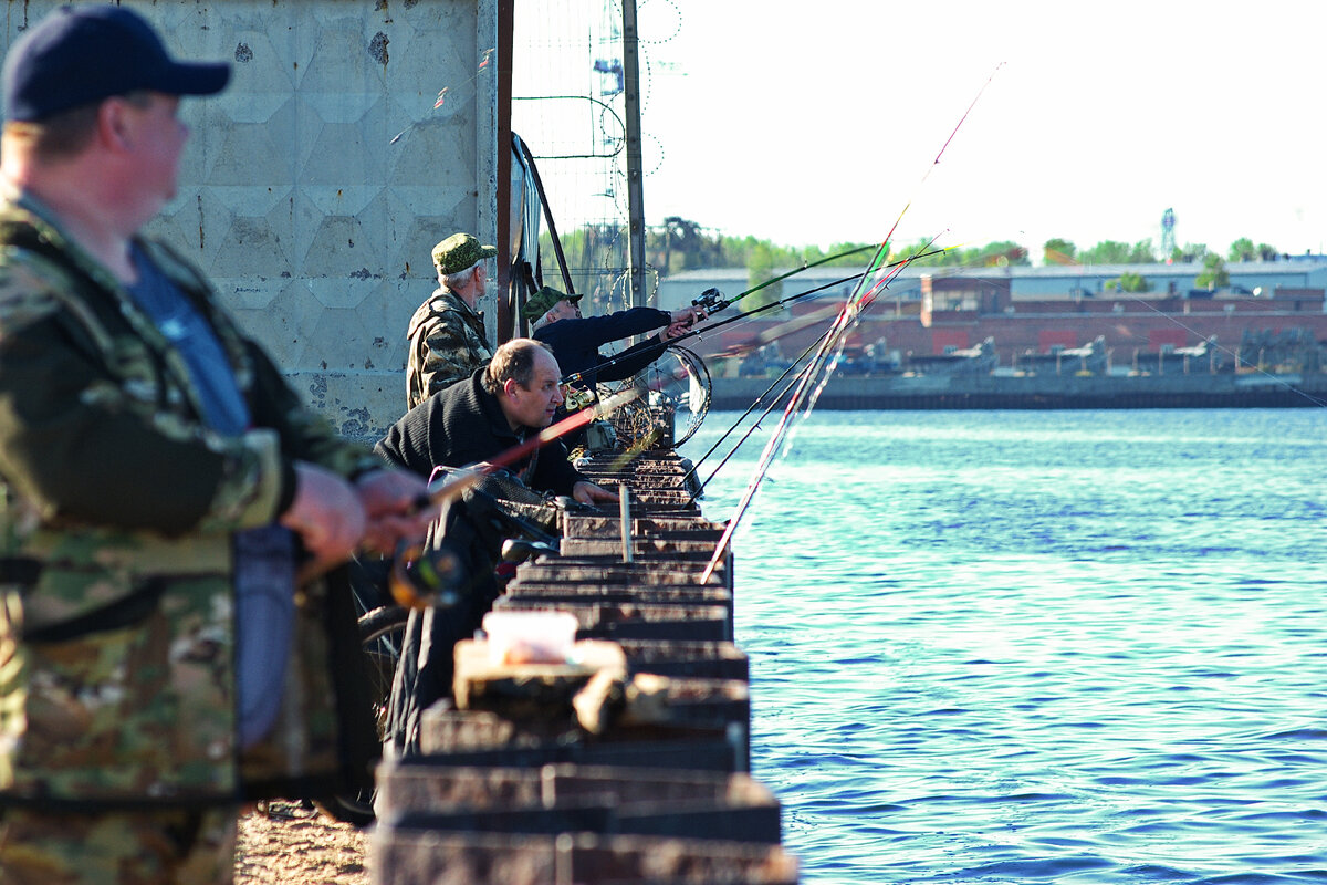 Сядешь на берегу, закинешь удочку - КЛЮЁТ!