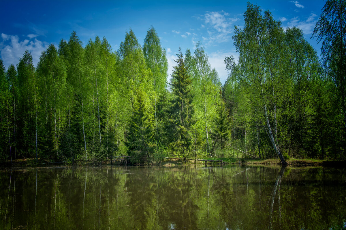 фотографии автора канала.