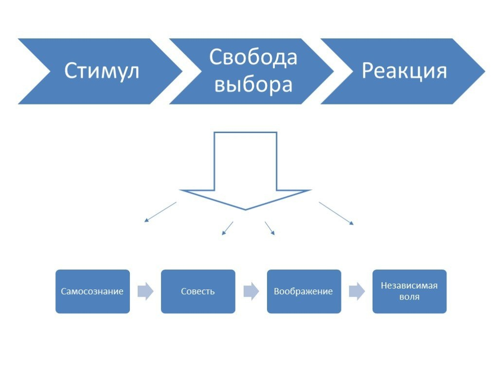 Между стимулом и реакцией. Стимул реакция. Схема стимул реакция. Стимумул реакция. Стимул реакция Свобода выбора.