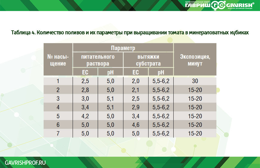 Норм томата. Полив рассады в минераловатных кубиках. Таблица урожайности томатов. График полива рассады томатов.