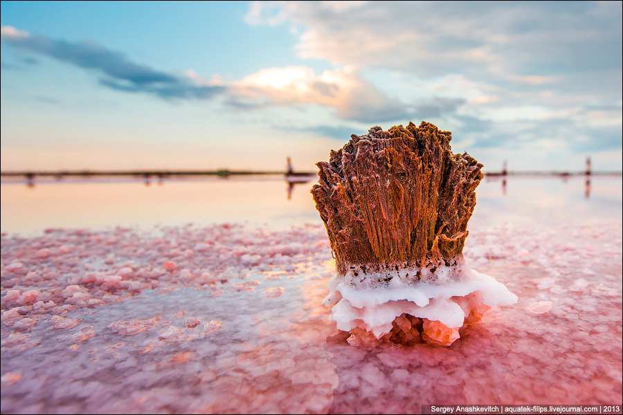 Какие фотографии у меня воровали больше всего, и даже Xiaomi для своих товаров и сайта3