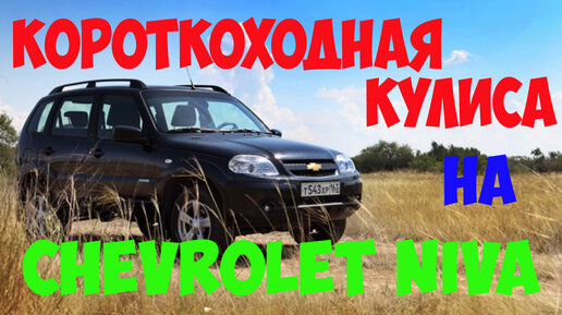 Тюнинг Шевроле Нива своими руками. Чип тюнинг Chevrolet Niva