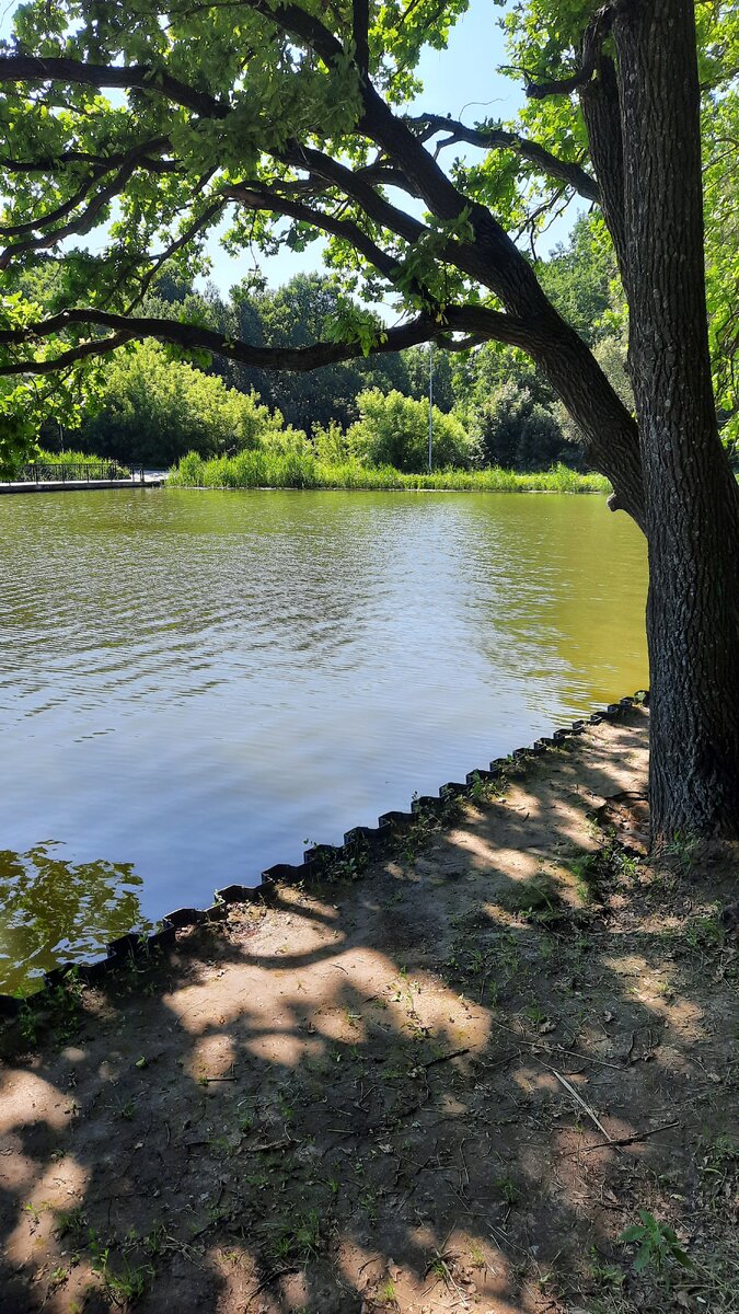 Наш небольшой парк.