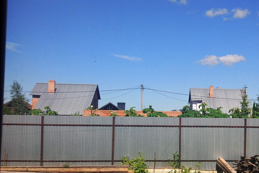 Вид с первого этажа. Распустился.