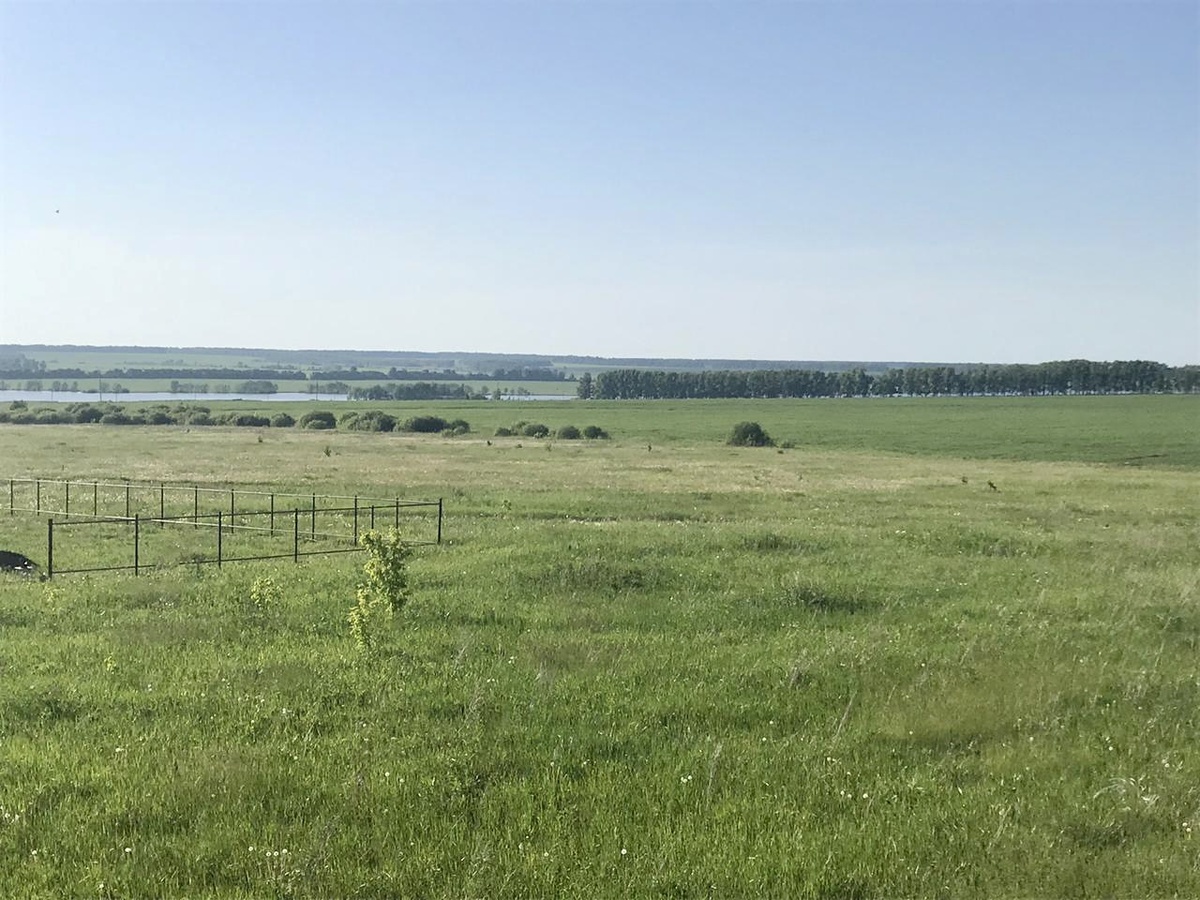 Природа России. Красота и простор