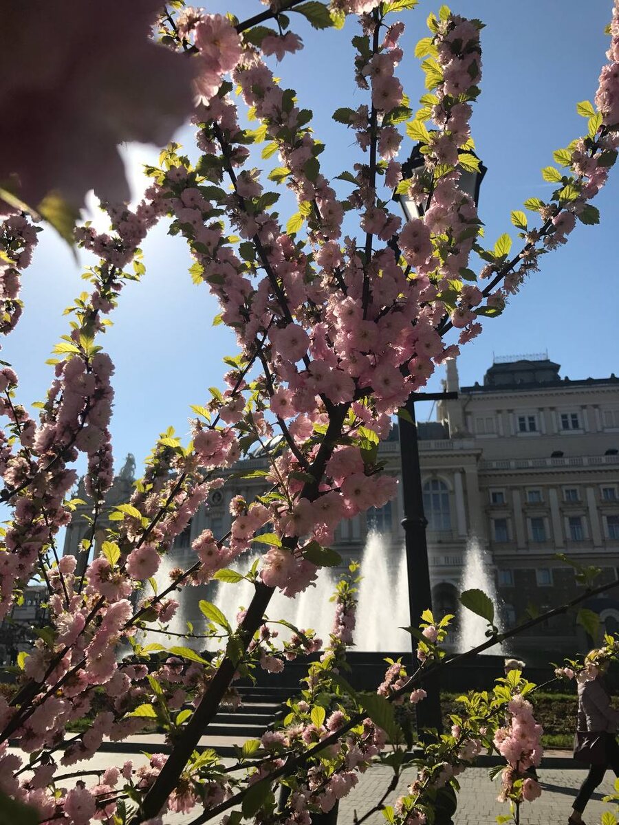 Одесский драм театр, фото из личного архива