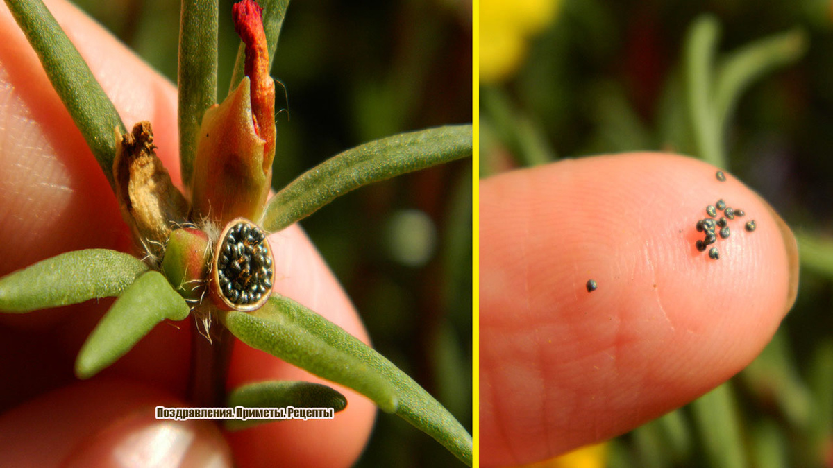 фото автора канала