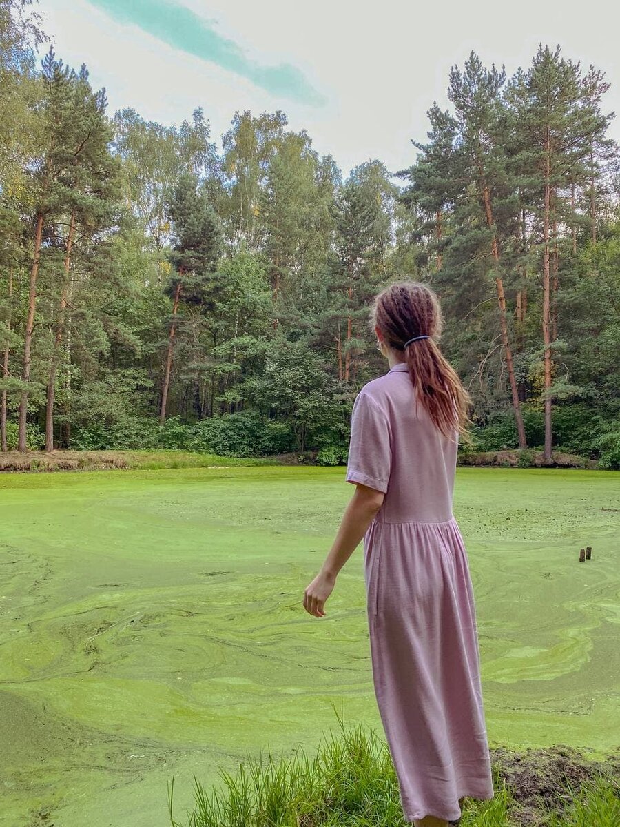 Прекрасный лесопарк.