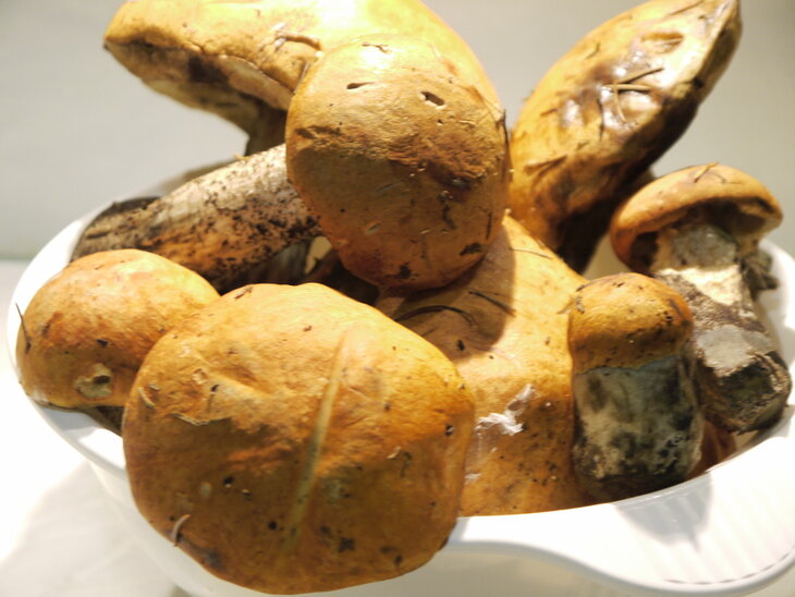 картинка взятая  с Яндекс картинок