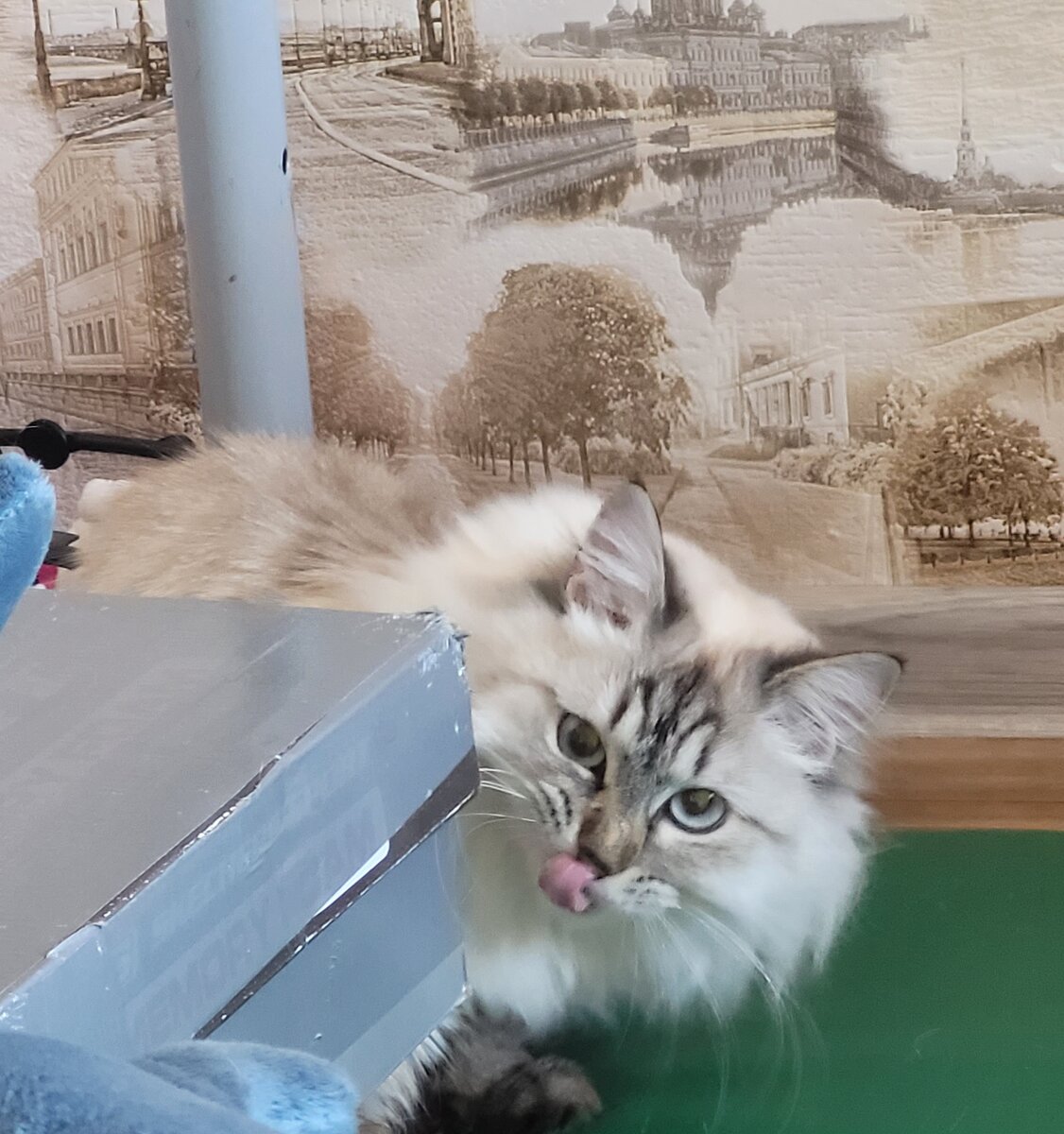 Кто против меня?...