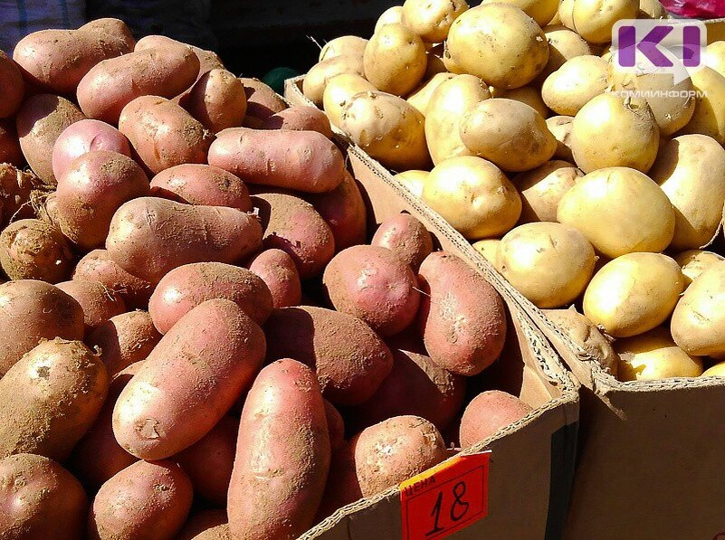 Фото из архива ИА "Комиинформ"