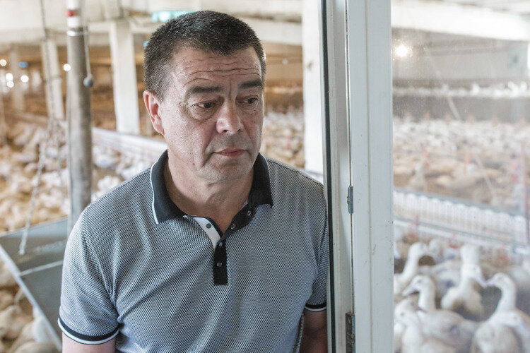 «Фермерское хозяйство «Рамаевское» должно было, согласно предписаниям Россельхознадзора, благоустроить и огородить территорию птичников, защитив ее таким образом от проникновения посторонних лиц. Фото: «БИЗНЕС Online»