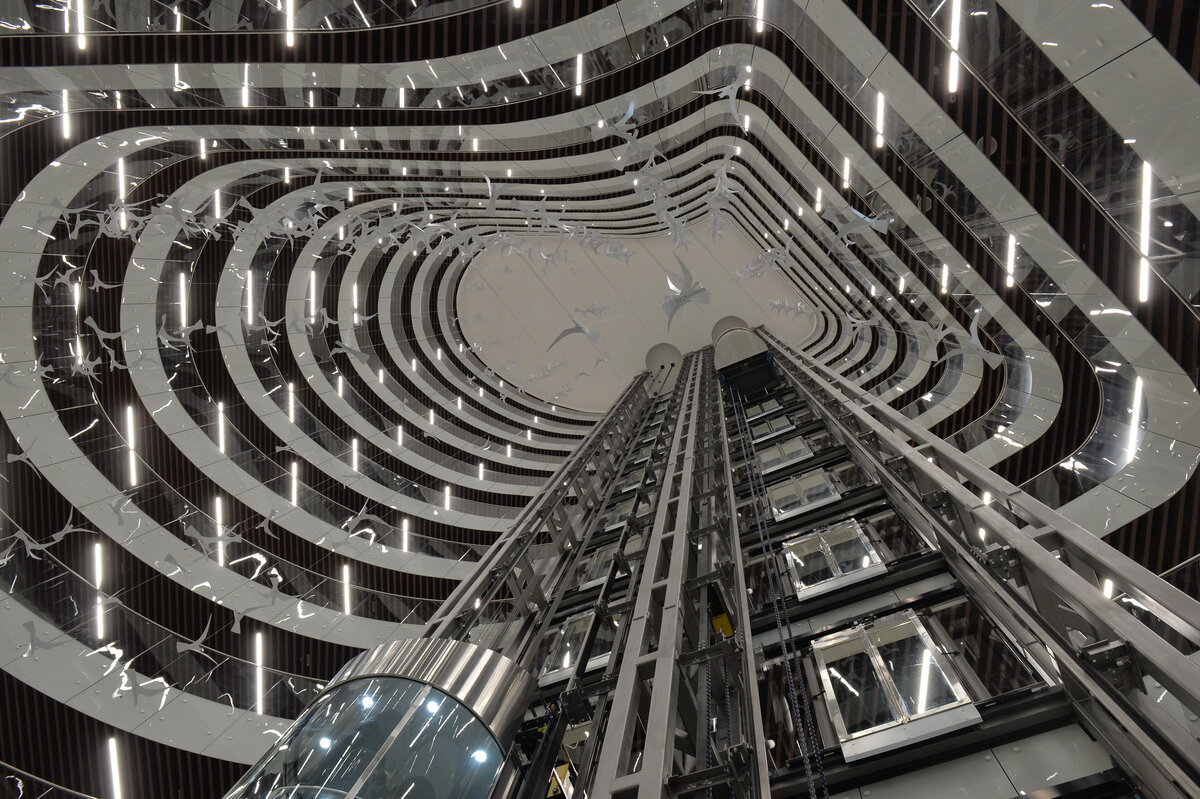   
 Фото: Андрей Бок/«Фонтанка.ру»