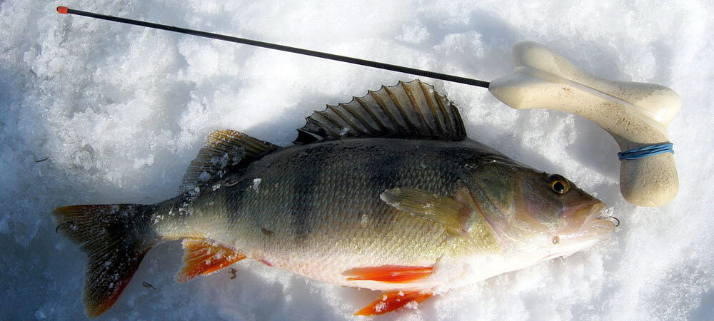 Виды зимних удочек для рыбалки