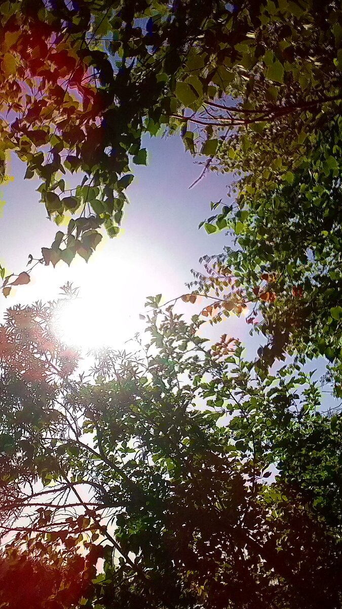 Фото автора. 