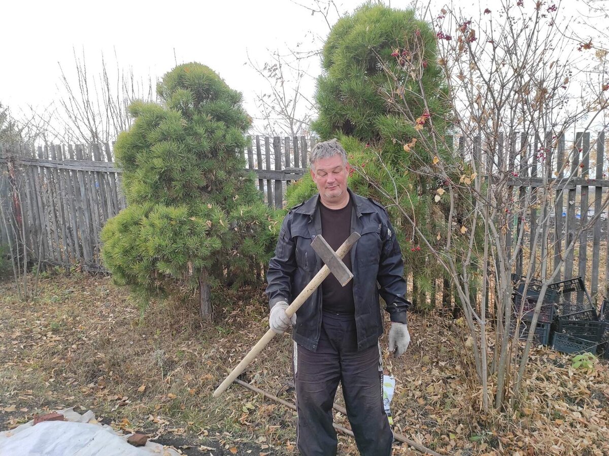 Приспособление для посадки чеснока.