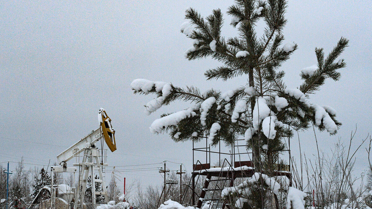    Нефтедобывающая установка в окрестностях Сургута© РИА Новости . Александр Гальперин