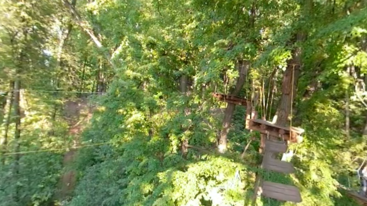 Круговое 2К видео в режиме 360, VLC 