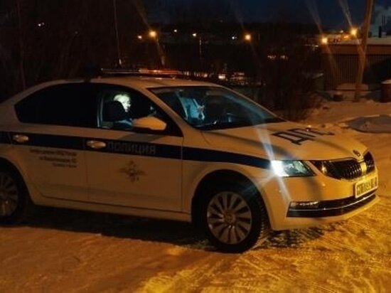     Фото: ГИБДД ЯНАО