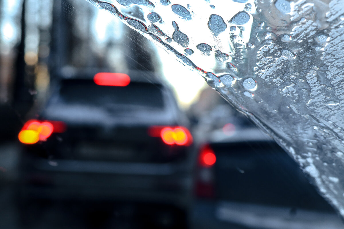     lob фото globallookpress.com