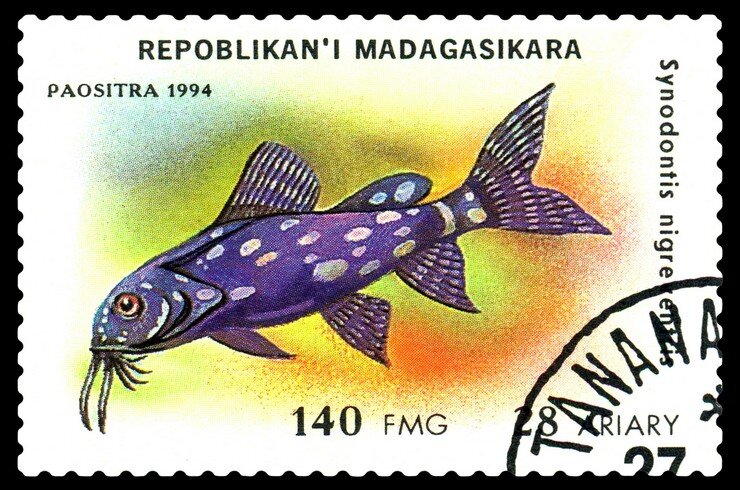 Марка с изображением синодонтиса. Республика Мадагаскар, 1994 год