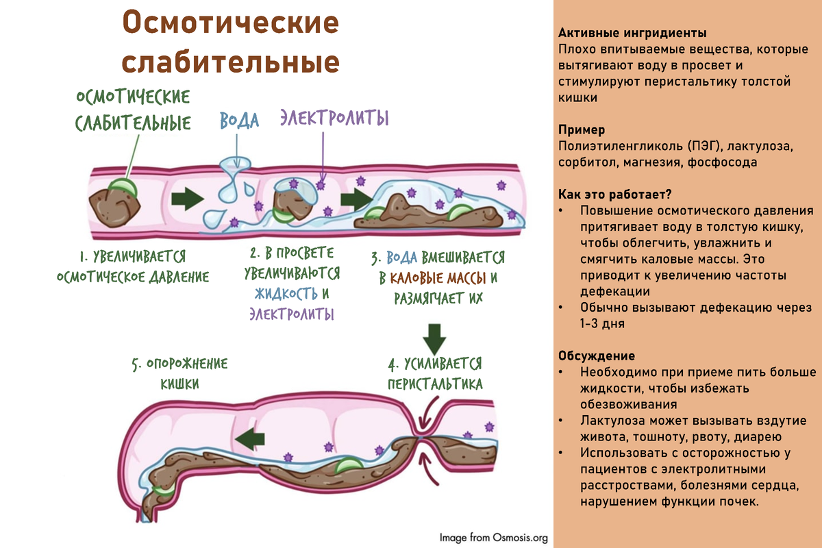 Какие выбрать слабительные? Ч.3 | Гаврилов Василий • Хирург | Дзен